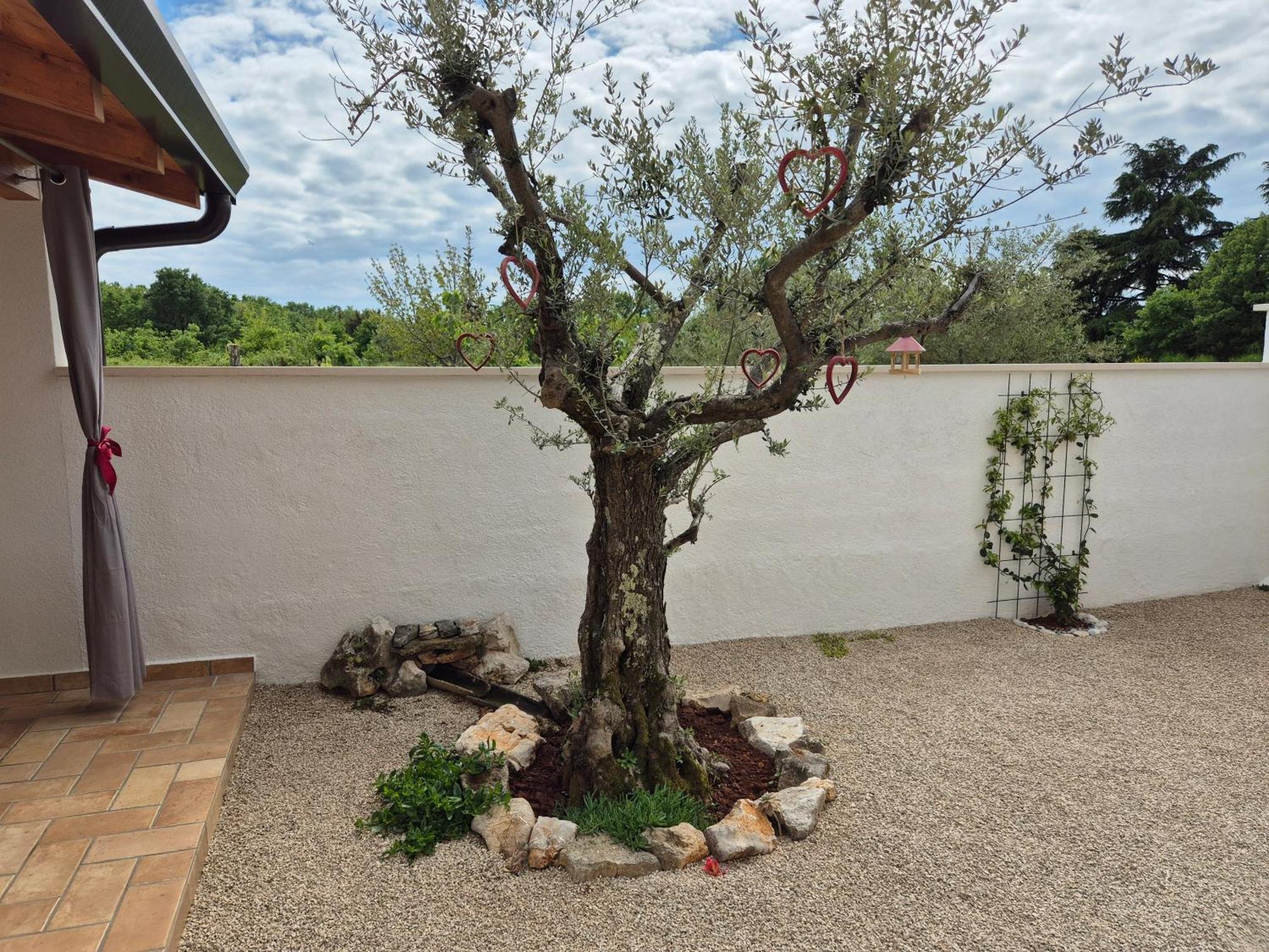 Apartment Vinja Porec - Privat Garden - Whirlpool ภายนอก รูปภาพ