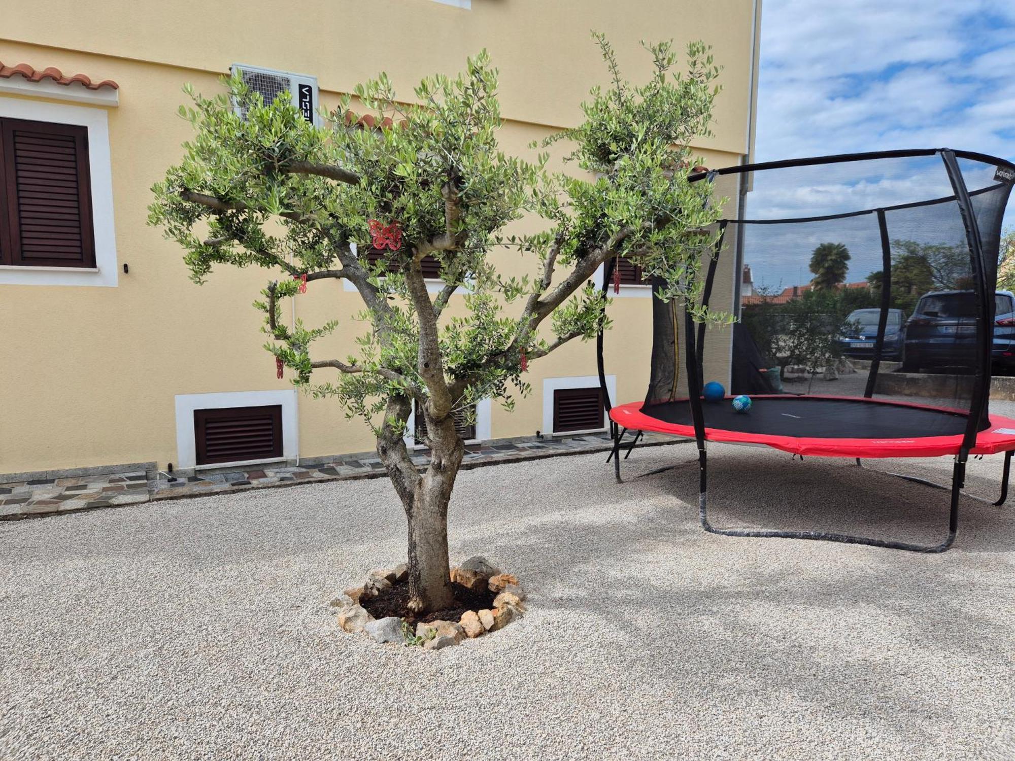 Apartment Vinja Porec - Privat Garden - Whirlpool ภายนอก รูปภาพ